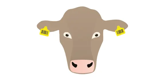 uniform beef management software