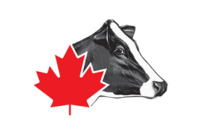 Holstein Canada
