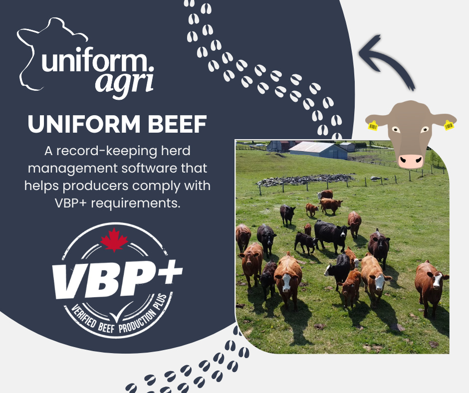 UNIFORM-Agri VBP+ Beef herd management software